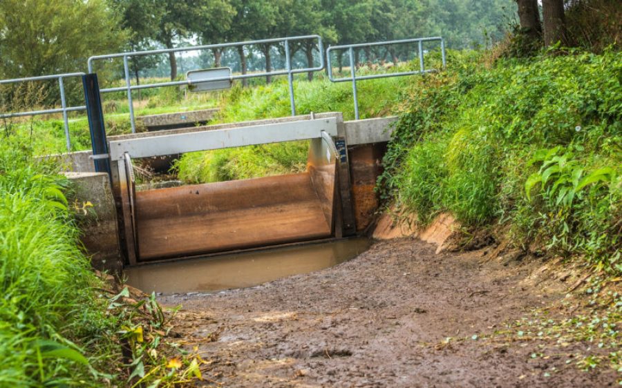 unnamed-aspect-ratio-800-500