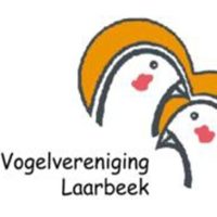 vogelvereniging-laarbeek-aspect-ratio-500-500