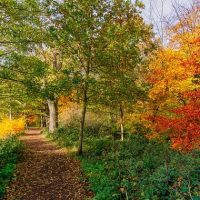 wandeling-natuur-aspect-ratio-500-500