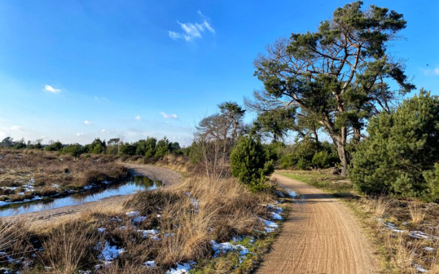 wandeling-strabrechtse-heide-17-aspect-ratio-800-500