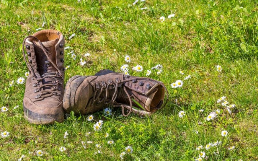 wandelschoenen    pixabay-aspect-ratio-800-500